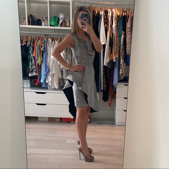 Ports Dress, Size 2, Silver Taffeta - Picture 2 of 10